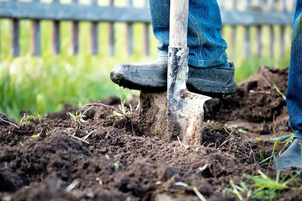 The Hidden Danger Lurking Beneath Your Yard (And How to Find It)